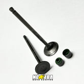 KIT VALVULAS ADMISION Y ESCAPE + SELLOS TVS APACHE RTR 160 4V - 200