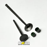 KIT VALVULAS ADMISION Y ESCAPE + SELLOS TVS APACHE RTR 160 4V - 200