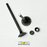 KIT VALVULAS ADMISION Y ESCAPE + SELLOS TVS APACHE RTR 160 4V - 200