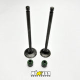 KIT VALVULAS ADMISION Y ESCAPE + SELLOS TVS APACHE RTR 160 4V - 200