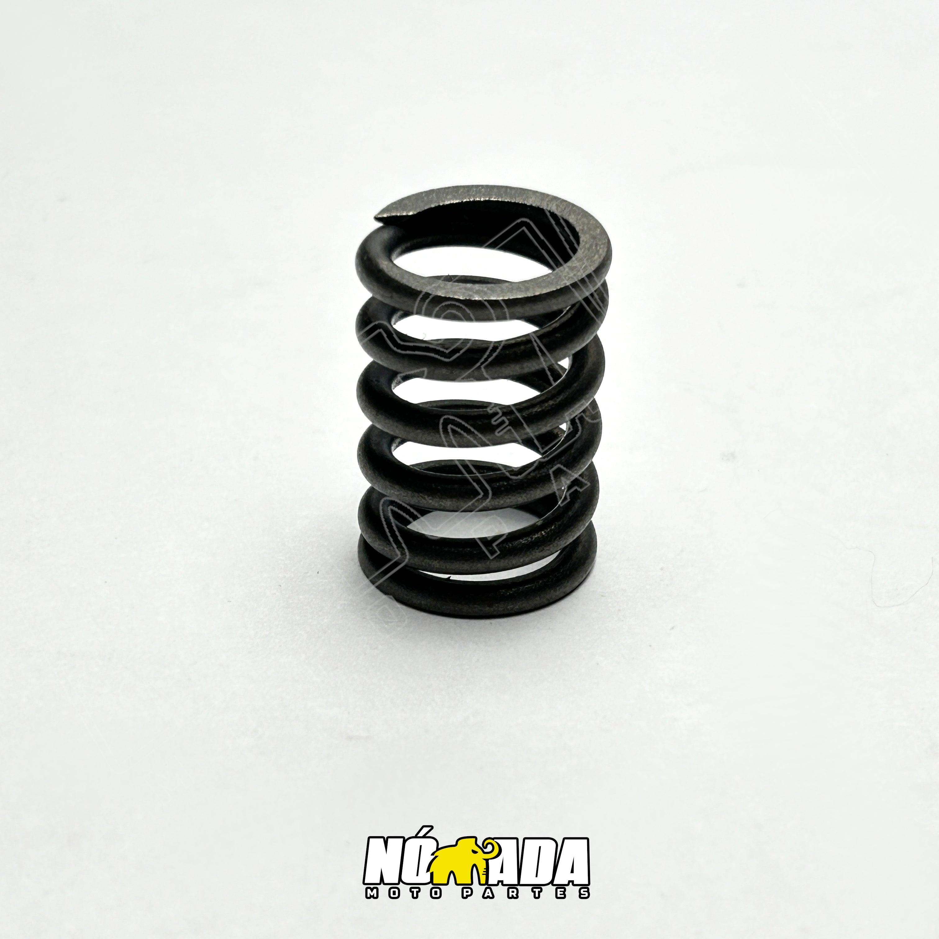 RESORTE CLUTCH TVS APACHE 160 4V NOMADA MOTOPARTES
