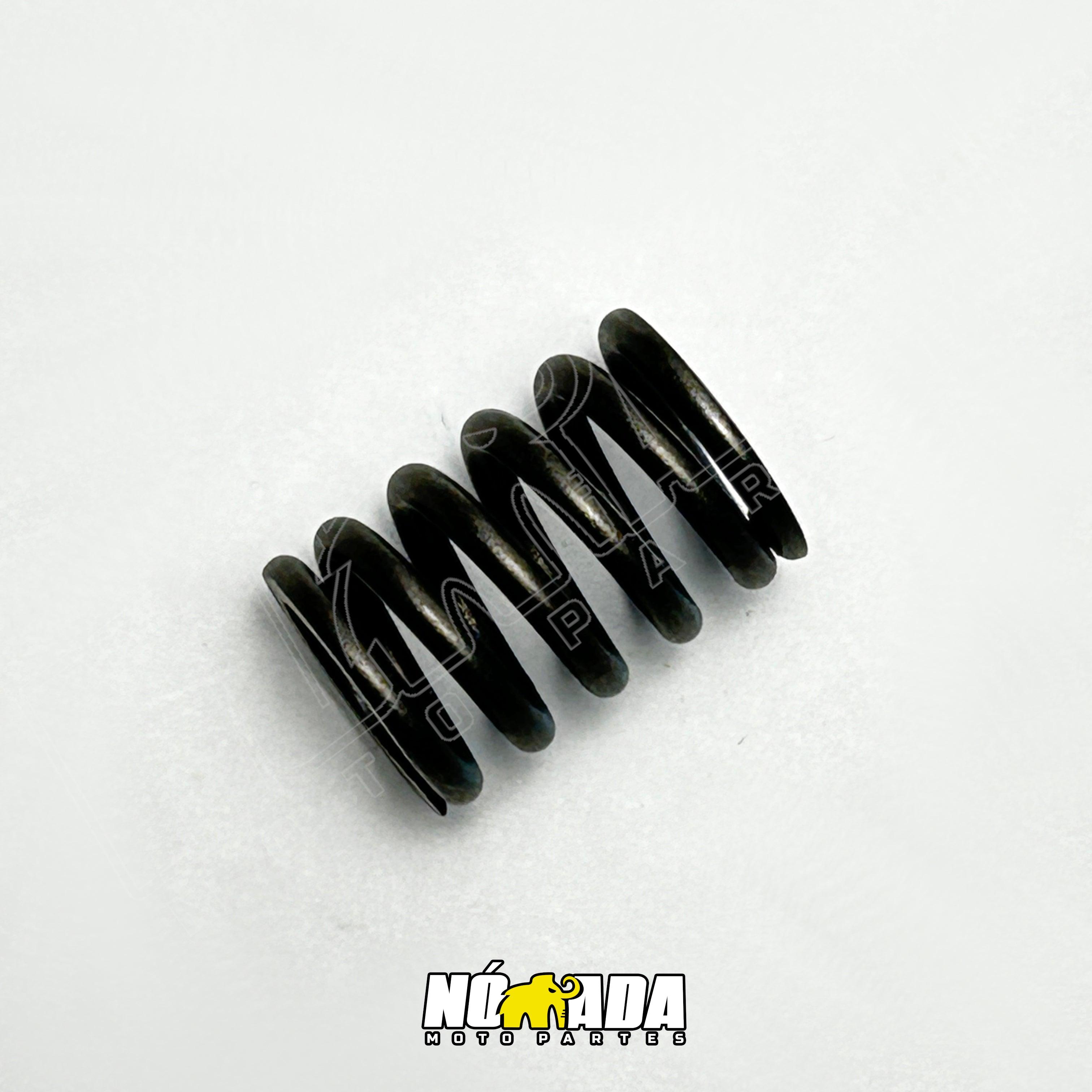 RESORTE CLUTCH TVS APACHE 160 4V NOMADA MOTOPARTES