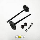 KIT VALVULAS ADMISION Y ESCAPE+ SELLOS BAJAJ PULSAR 180/180UG NOMADA MOTO PARTES