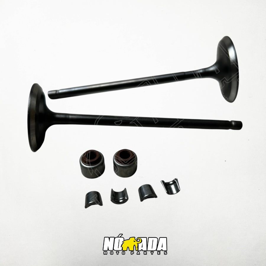 KIT VALVULAS ADMISION Y ESCAPE+ SELLOS BAJAJ PULSAR 180/180UG NOMADA MOTO PARTES