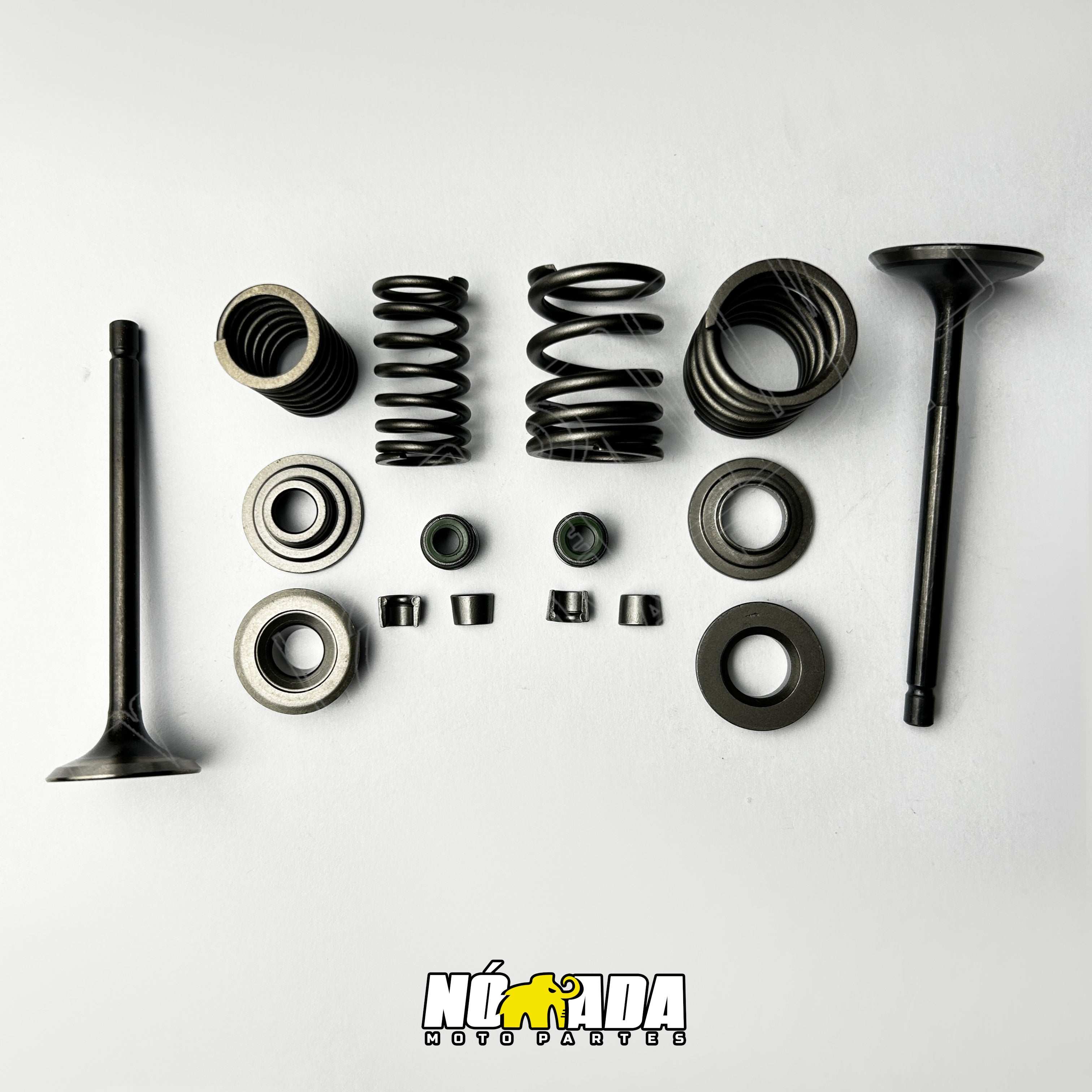 KIT VALVULAS ADMISION Y ESCAPE TVS APACHE 160 2V - 180 ORIGINALES