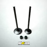 KIT VALVULAS ADMISION Y ESCAPE + SELLOS BAJAJ PULSAR NS 200