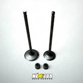 KIT VALVULAS ADMISION Y ESCAPE + SELLOS BAJAJ PULSAR NS 200 NOMADA MOTOPARTES